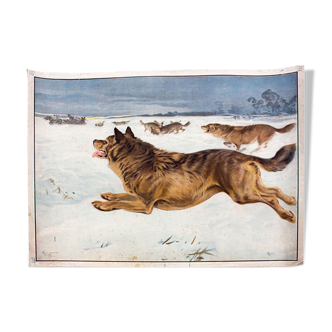 Poster "Dog" Educational Grid 1891