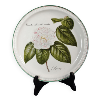 Decorative plate/plate "camellia" 1992 by Villeroy & Boch