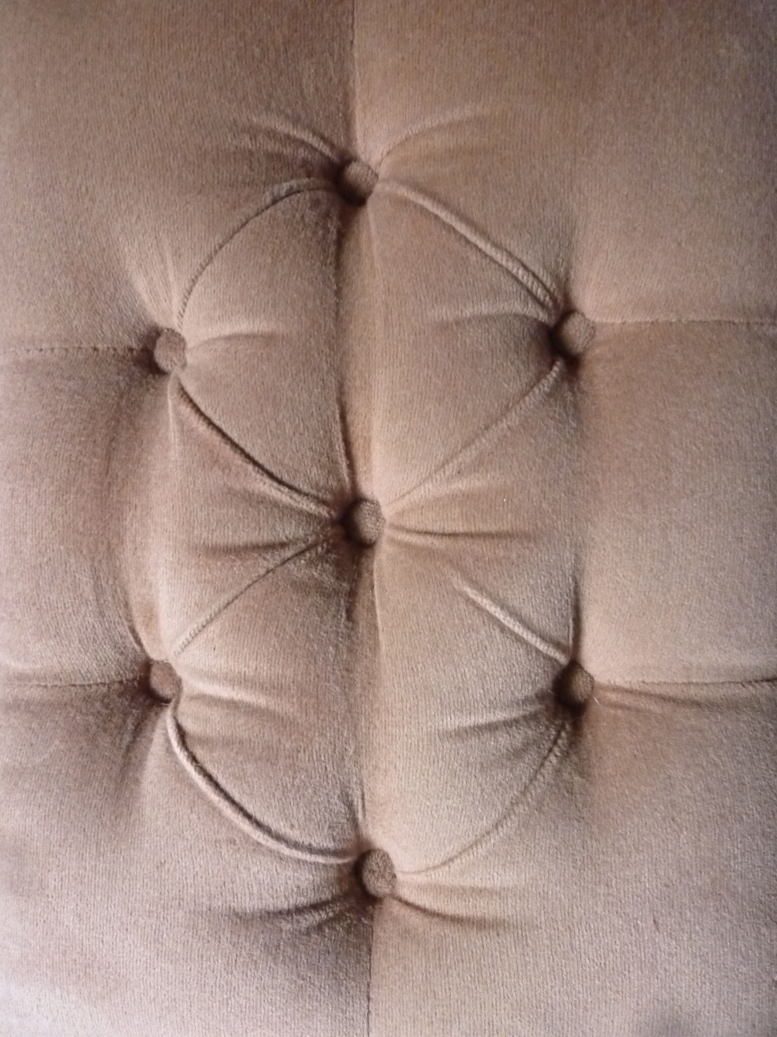 Rests English feet in velvet