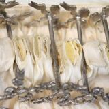 Box Louis XVI silver knife holders