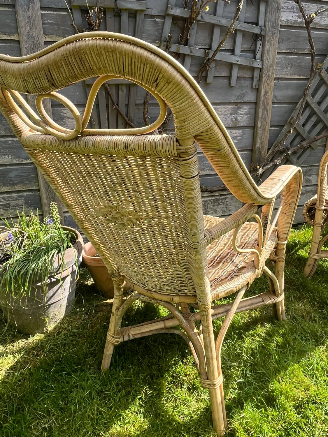 Rattan armchair duo