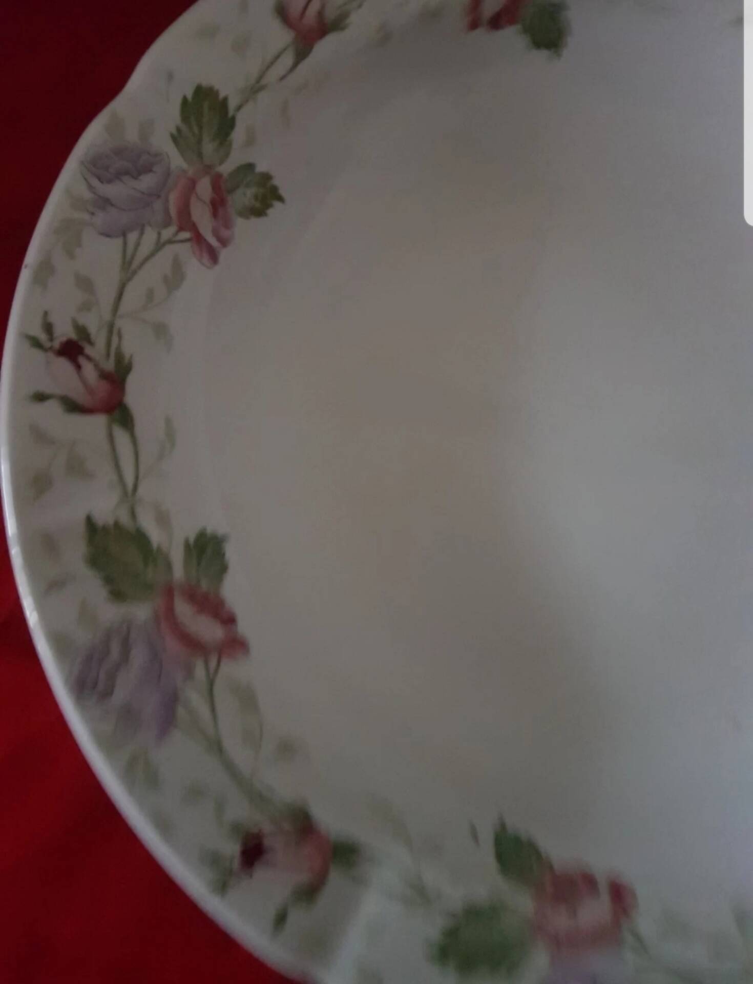 Old plate France Sarreguemines U&C