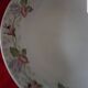 Old plate France Sarreguemines U&C