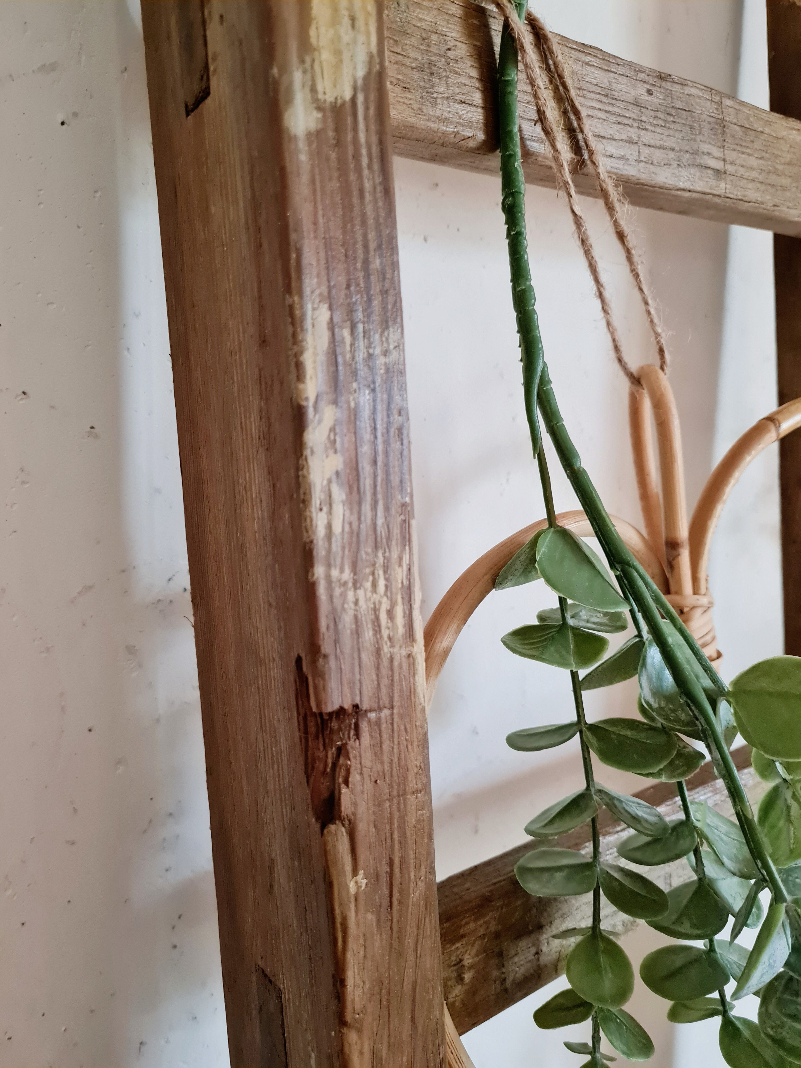 Old wooden farm ladder