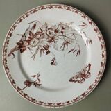"Carmen" - Set of flat plates Ø 22.5cm ironstone Sarreguemines U&C