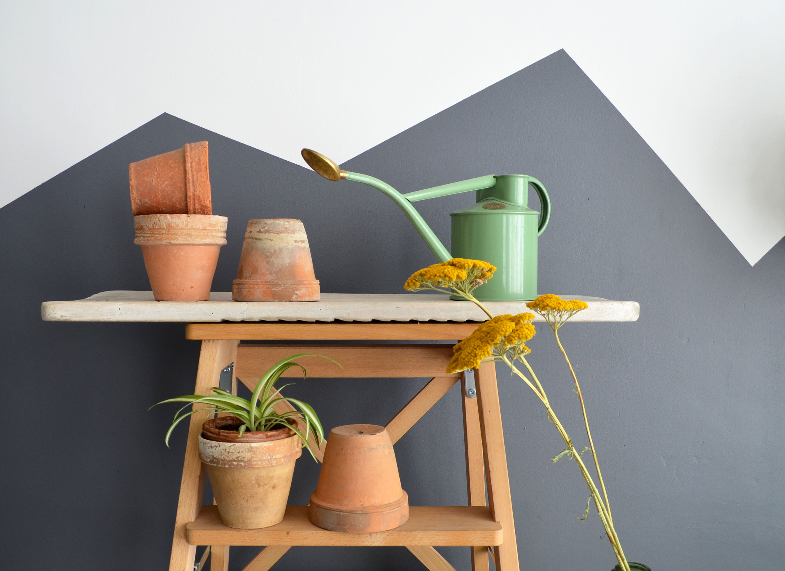 5 old terracotta pots 10 cm