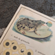 School poster the fish/the frog. Nightingales