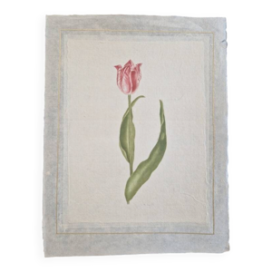 Dessin à l'aquarelle - soie