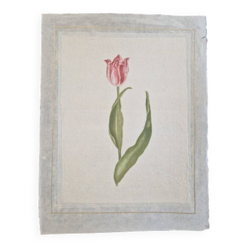 Dessin à l'aquarelle sur soie - Tulipe - La Roche Laffitte (Né en 1943)
