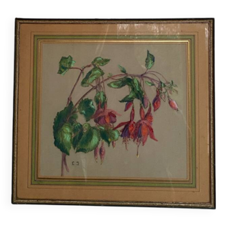 Old pastel Fuchsias framed