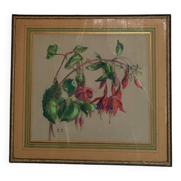 Pastel ancien Fuchsias encadré