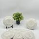 Service of 12 dessert plates, Sarreguemines / Digoin, DONON, vintage, old