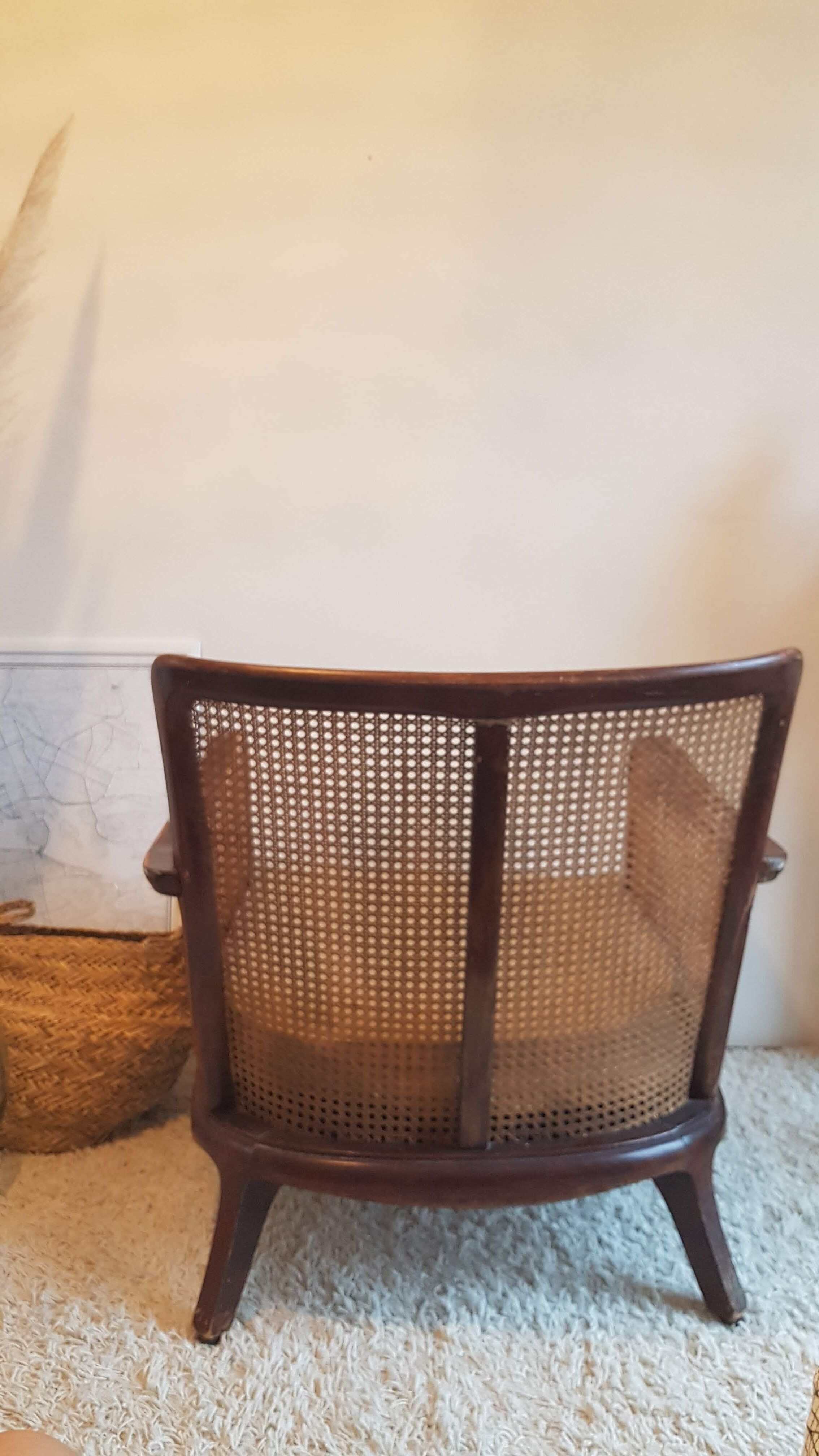 Steiner canna armchair