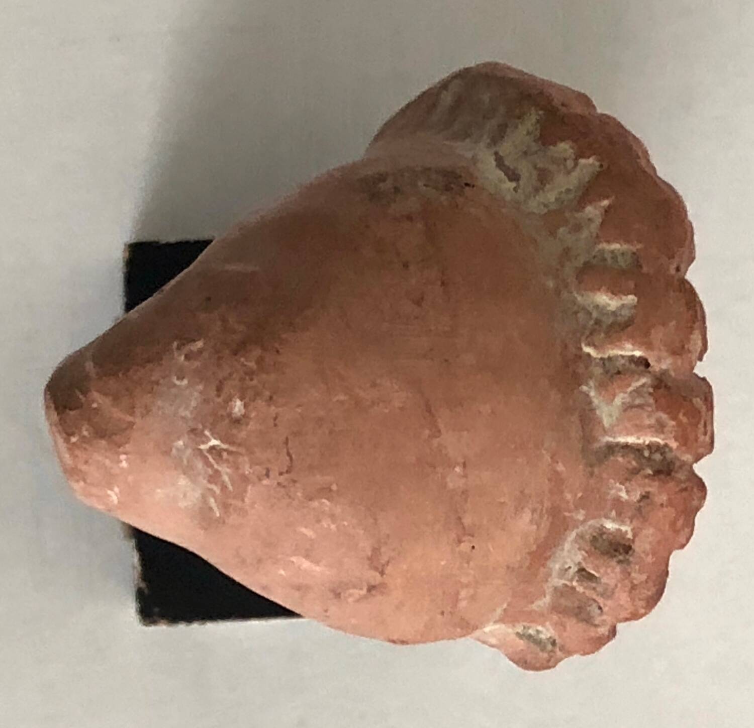 Woman's head in ceramic