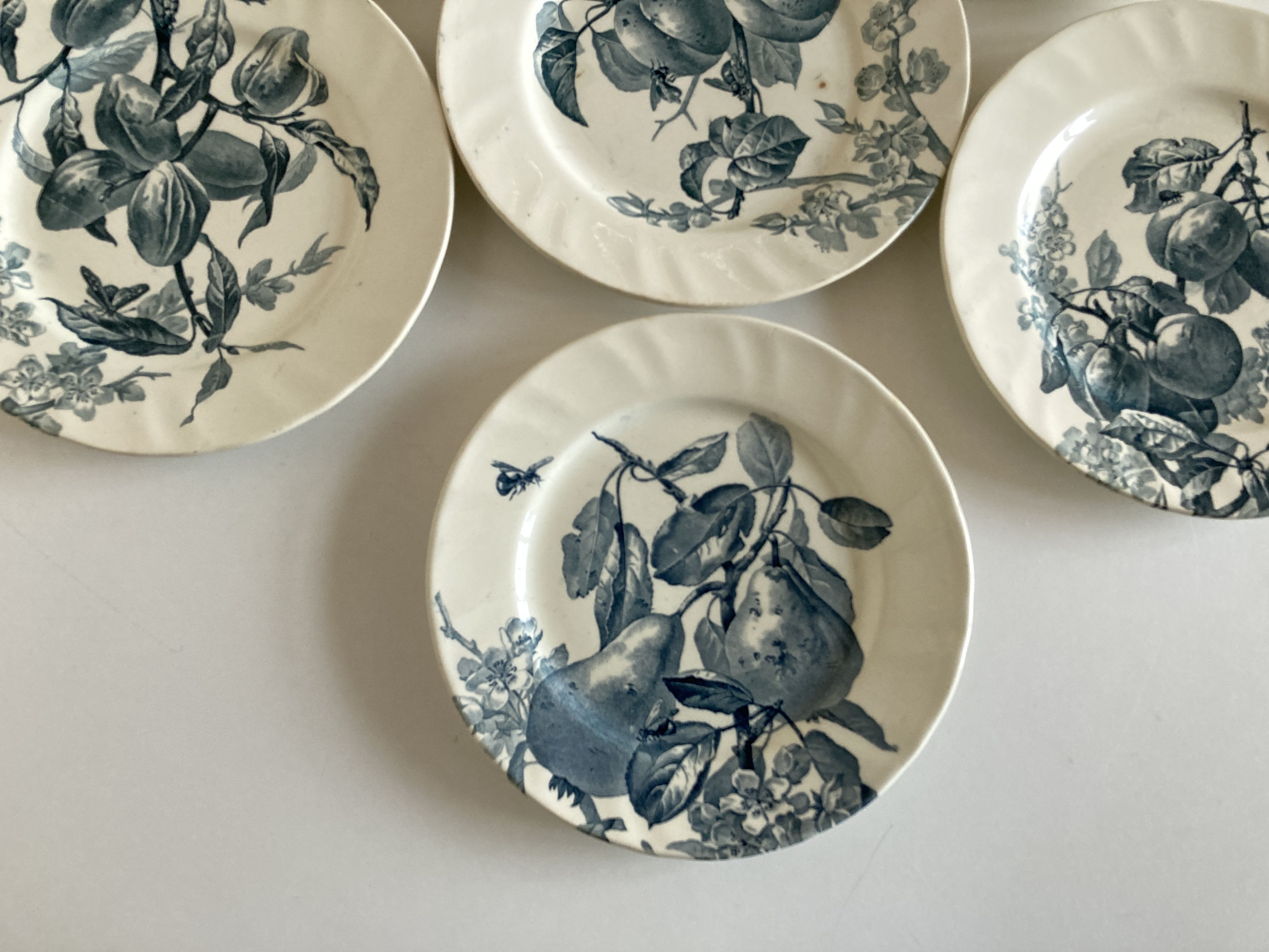 Set of 6 plates Creil Montereau Pomona iron earth early 20th