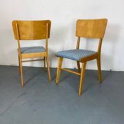 Chaises de salle à manger en hêtre modernistes du milieu du siècle, années 1950, lot de 2