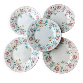 5 Assiettes à dessert Churchill Staffordshire  Modèle Briar rose