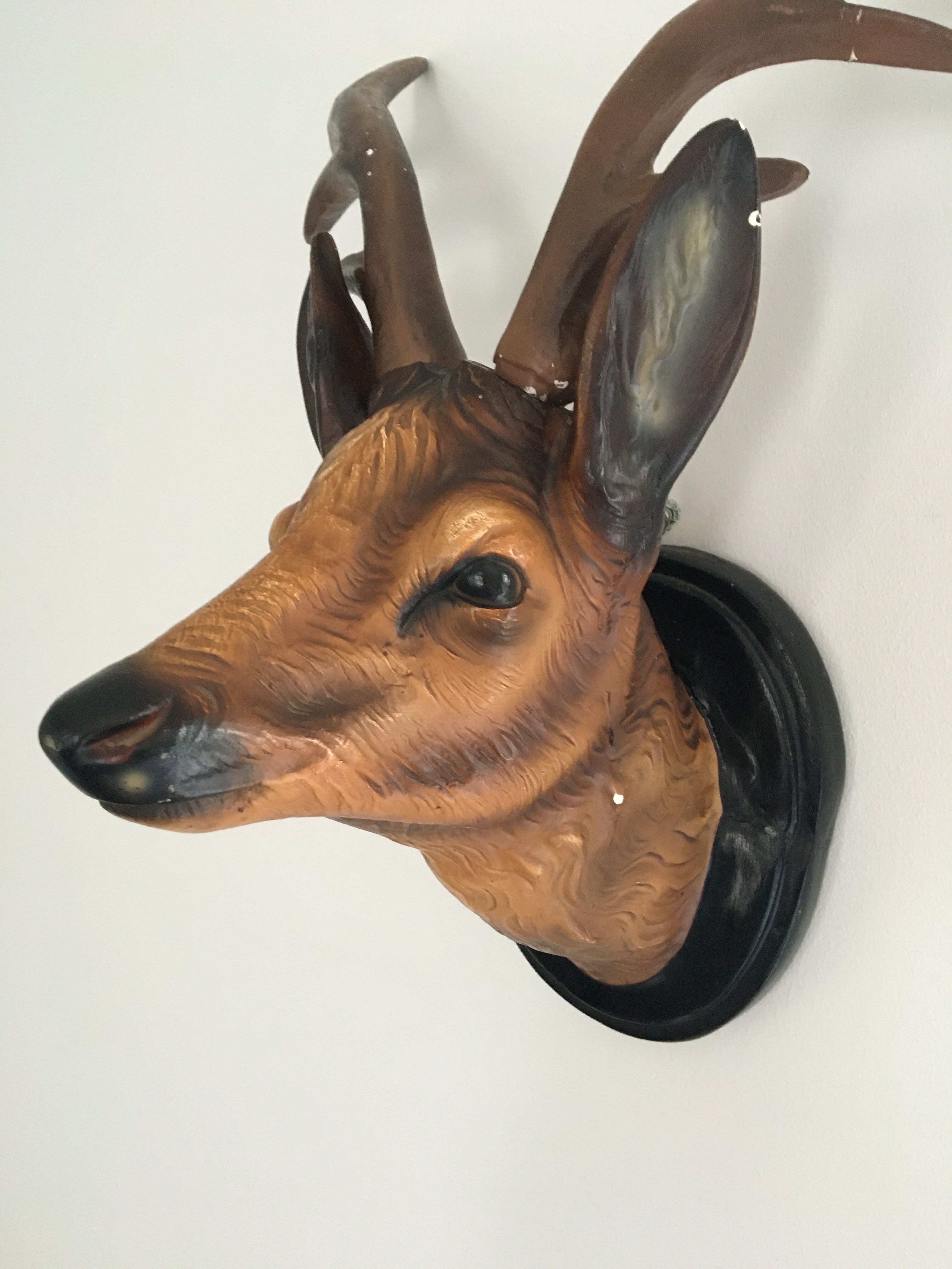 Animal deer head trophy
