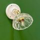 Vintage glass cut lampshade - tableware collection (APPV01)