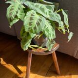 Tabouret tripode en bois
