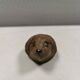 Small ceramic hedgehog by Poul Mathiesen (PM) 1970s Denmark.