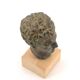 Paperweight bust of Hermes in patinated plaster, 1970s