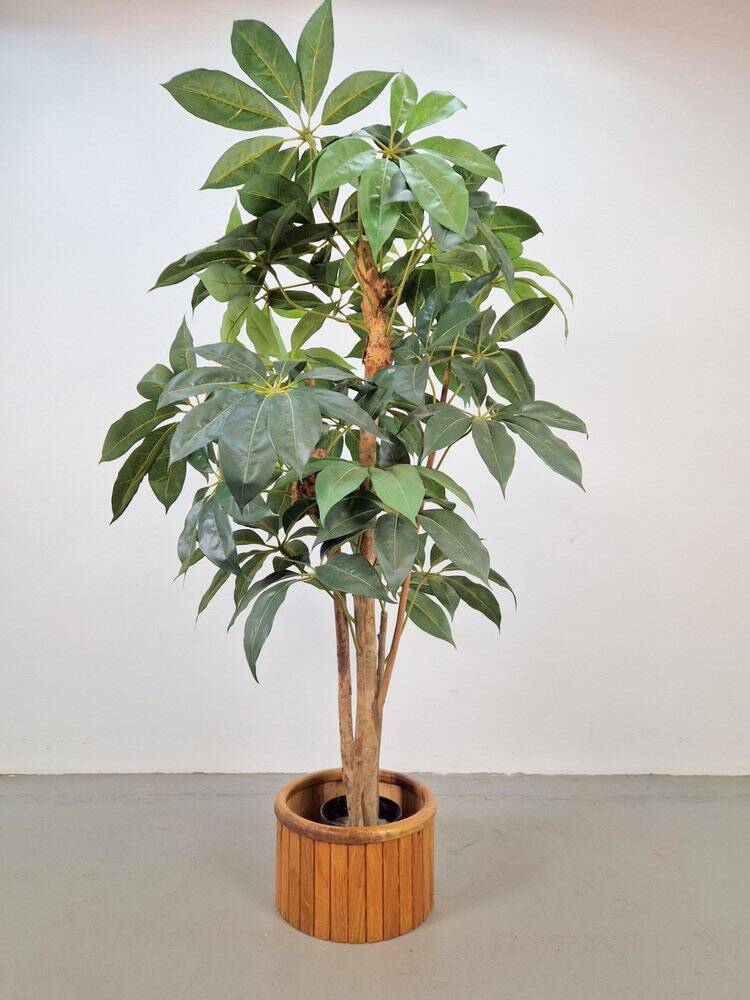 Vintage Oak Indoor Planter, Denmark, 1960s