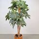 Vintage Oak Indoor Planter, Denmark, 1960s