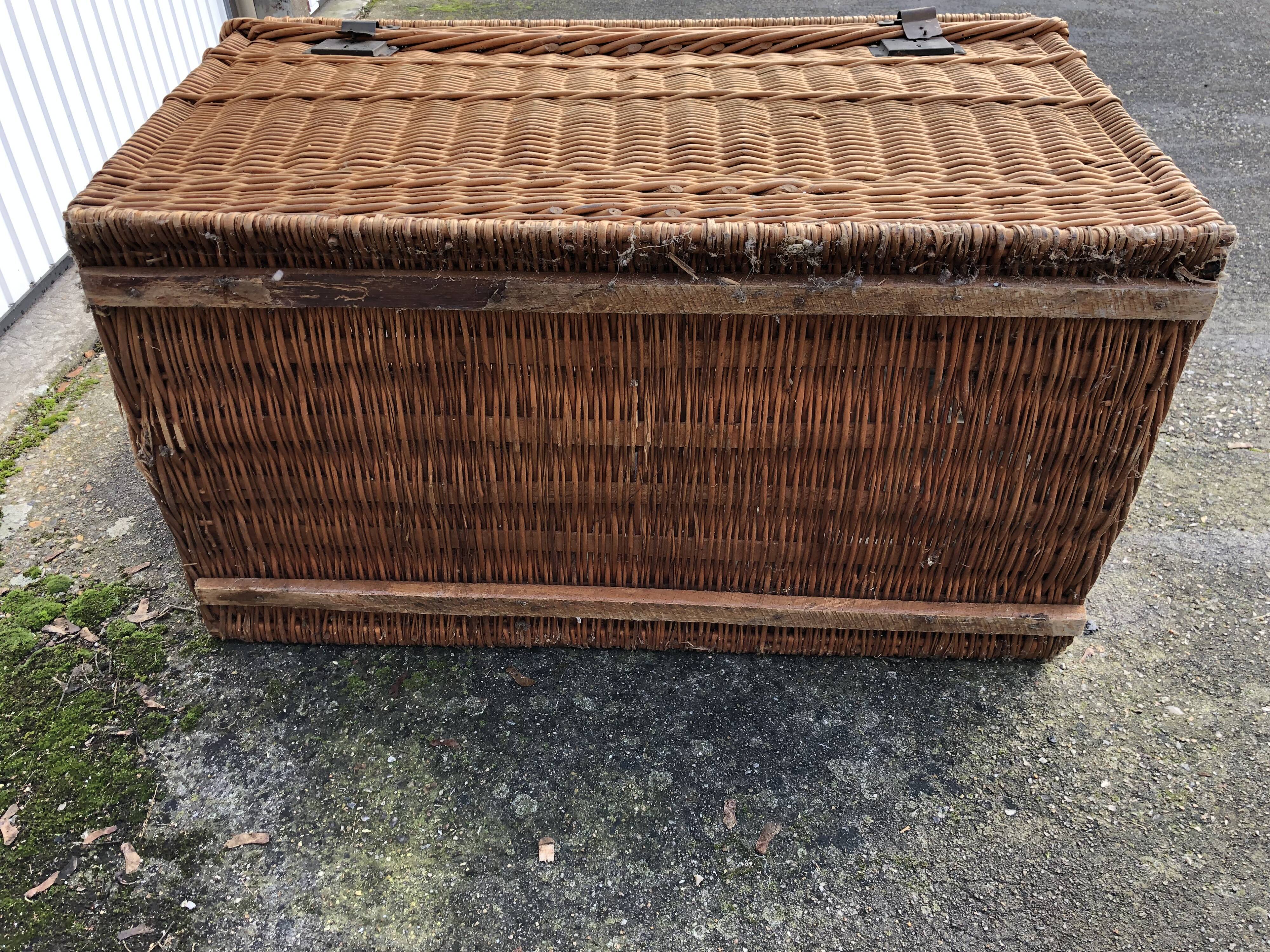 Old braided wicker trunk