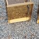 Pair of wall lamps in smoked glass and gilded metal from the 70s/80s