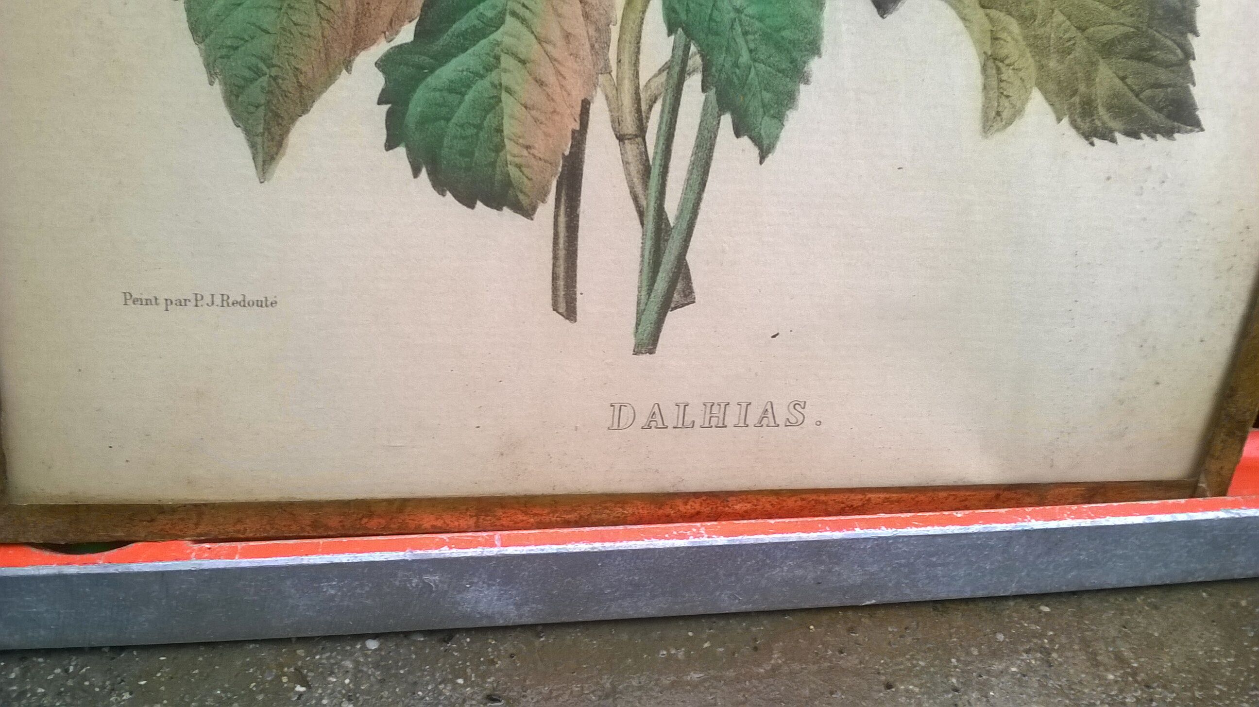 Pair of frames "with bouquets of flowers"