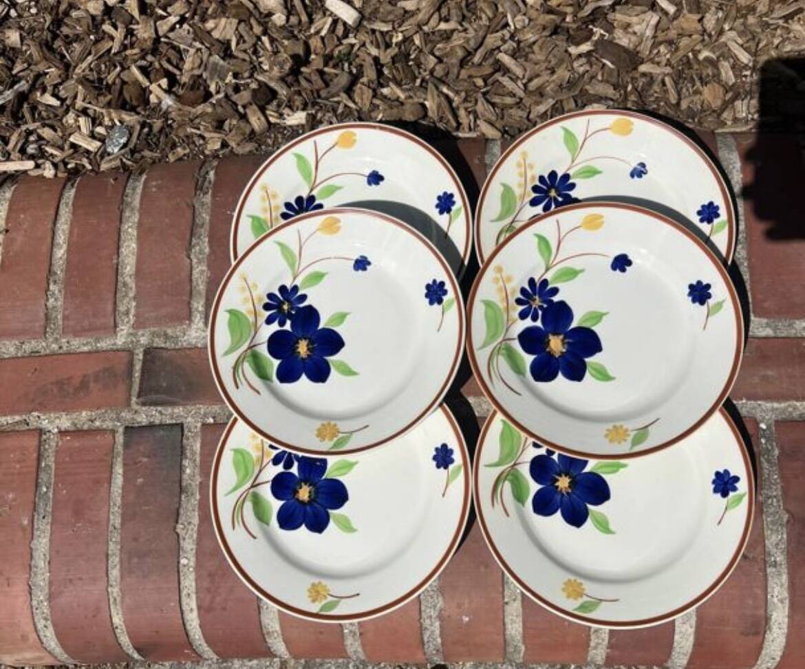 Gien - 6 flat plates - tournefeuille