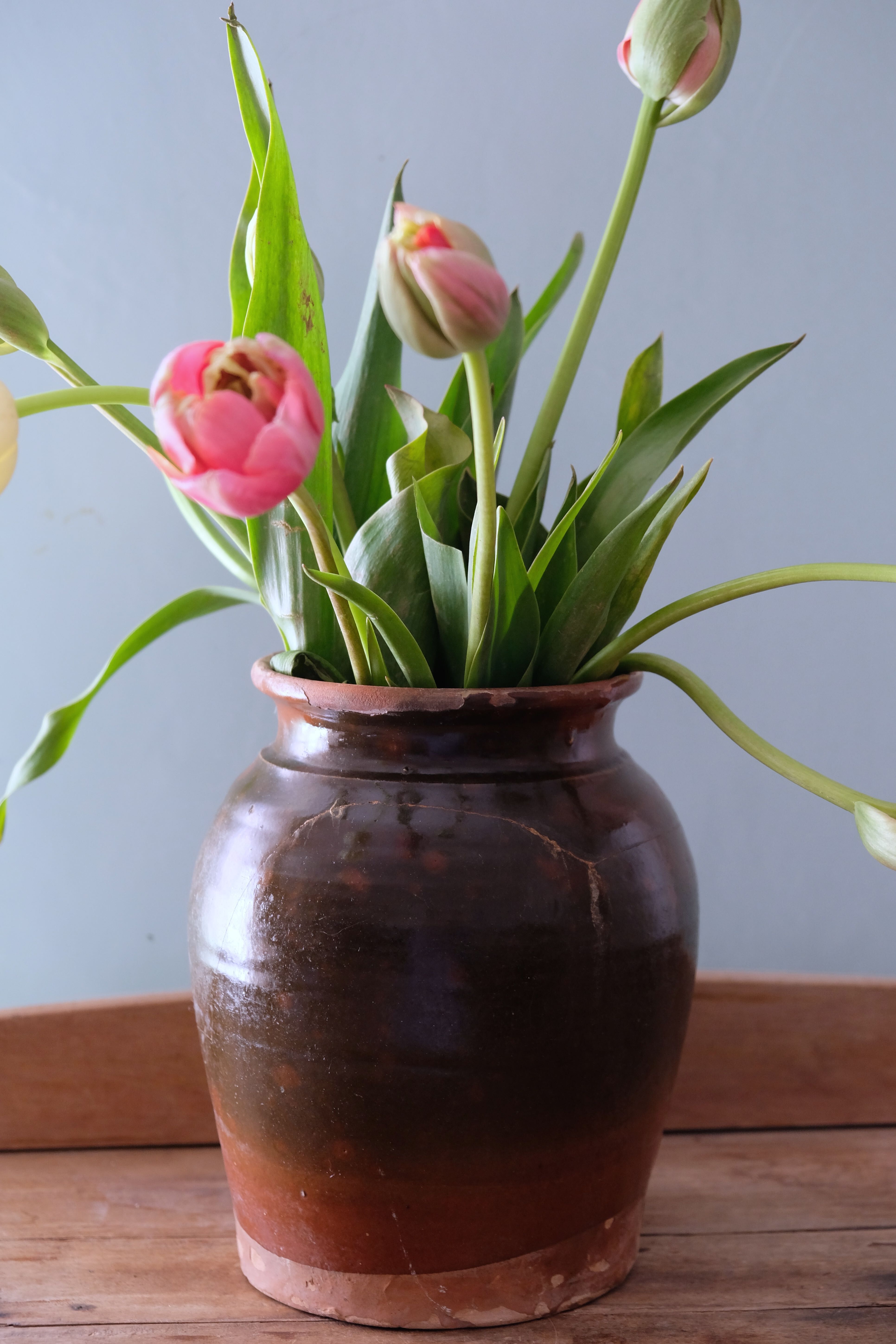Old glazed terracotta pot