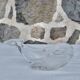 Vide poche baleine en cristal d'Arques