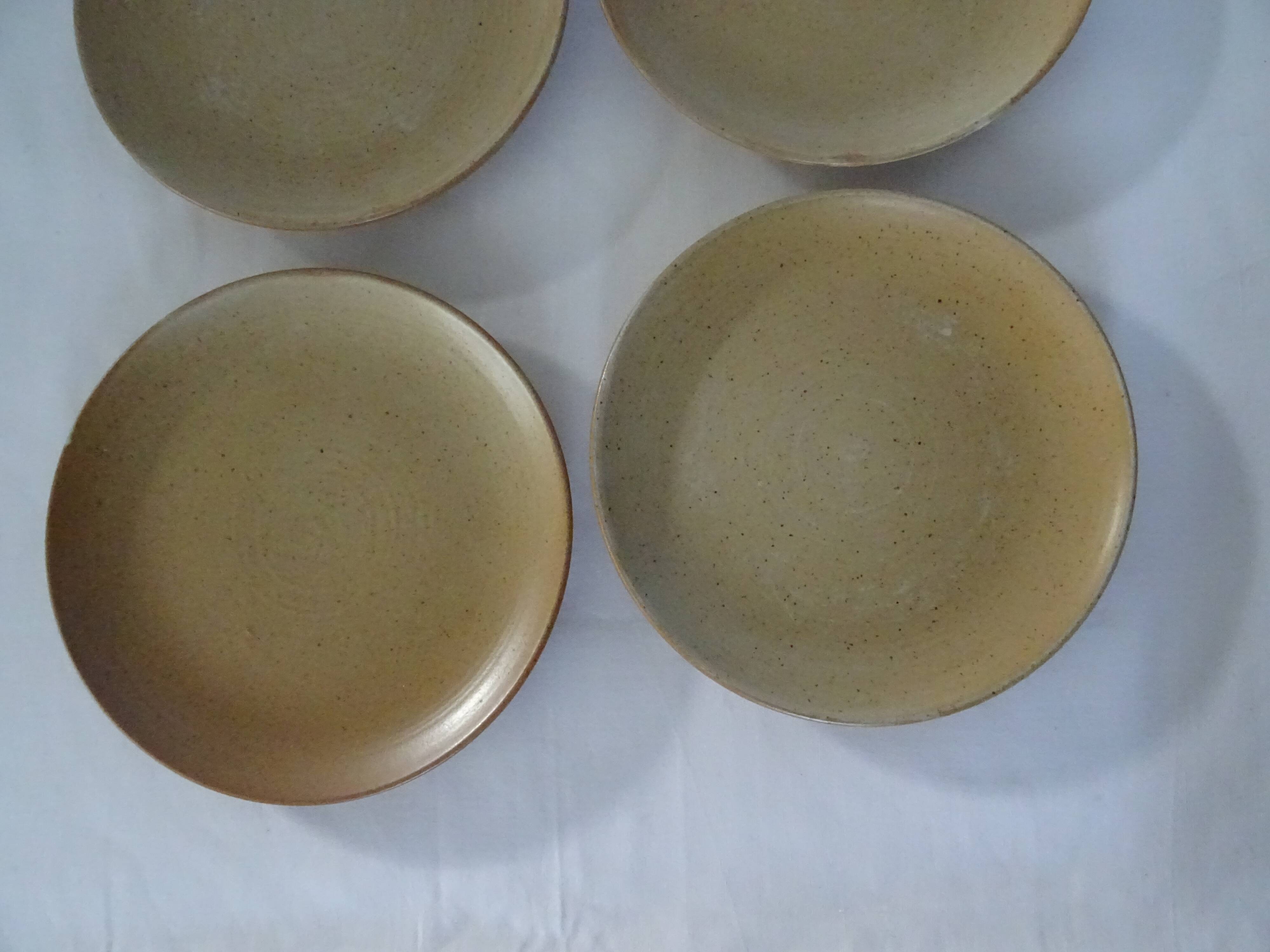 6 Plates serving 561112 sandstone village CNP