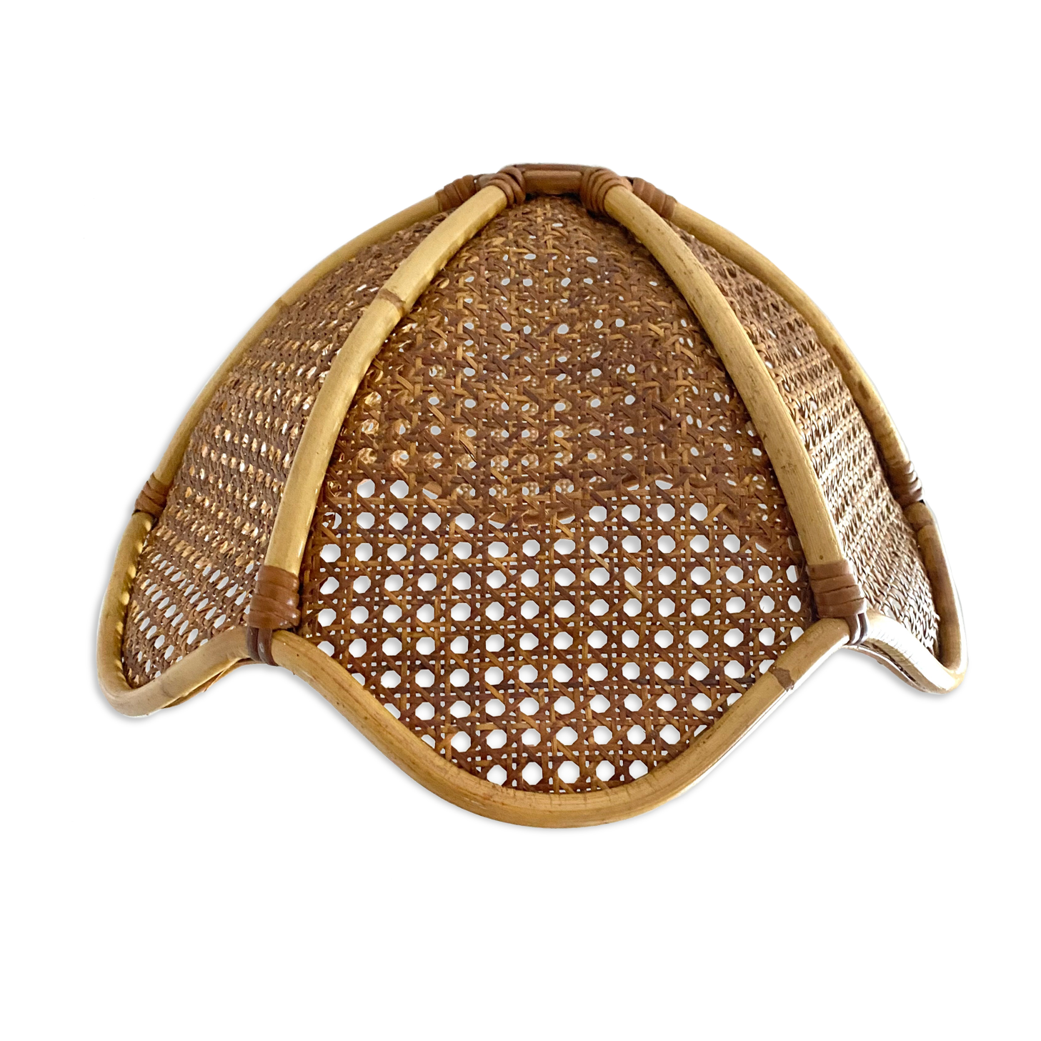 Rattan lampshade and canning to hang