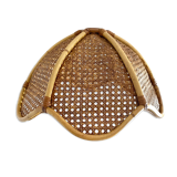 Rattan lampshade and canning to hang
