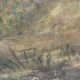 Old pastel signed Théo Mayan: "In Camargue" (early 1900)