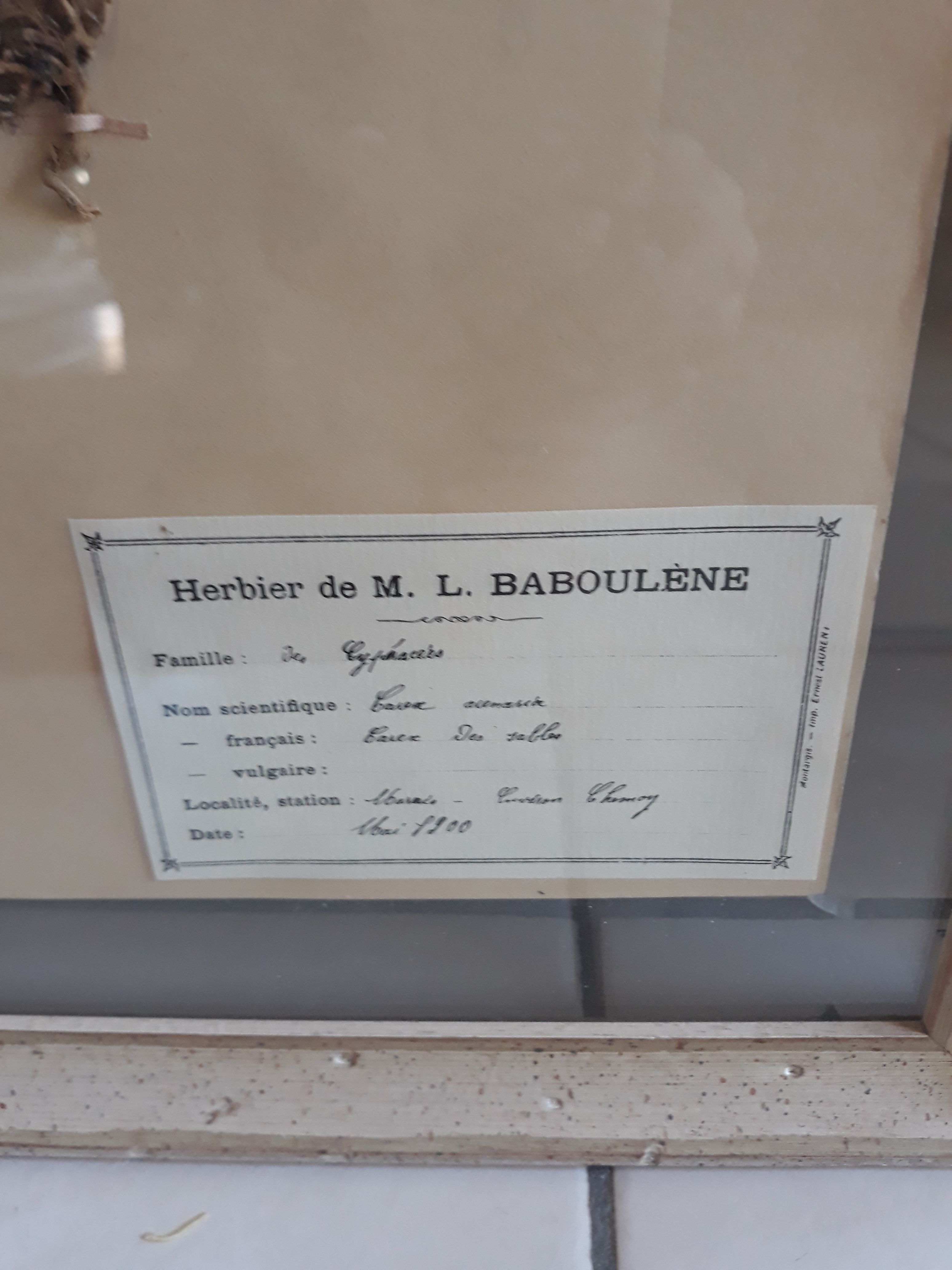Set of 3 seagrass boxes M L Baboulene dating back to 1900