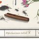 Small poster on “Insects and plants”, based on an old engraving