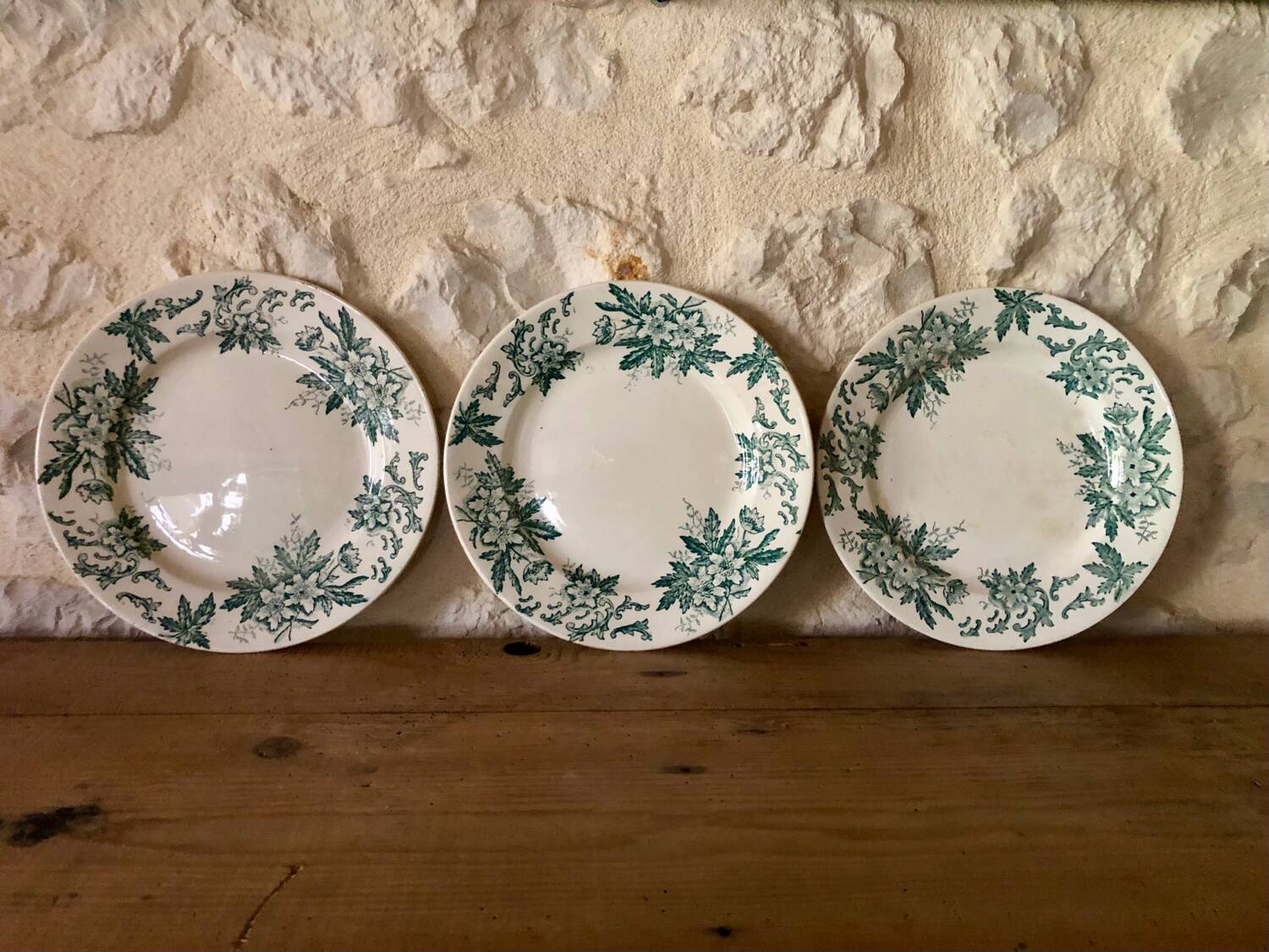 Ironstone "anemone" flat plates from Saint-Amand-les-Eaux