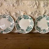 Ironstone "anemone" flat plates from Saint-Amand-les-Eaux