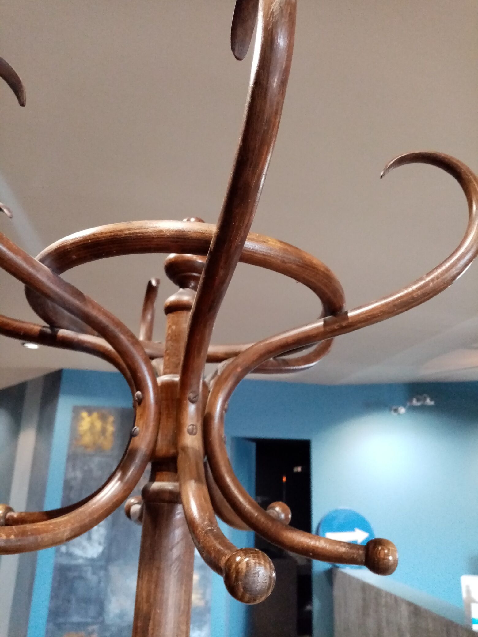 Parrot coat rack by Alexander Fischel