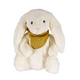 Pop up Noel - PETIT PICOTIN - Doudou cheche