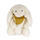 Pop up Noel - PETIT PICOTIN - Doudou cheche