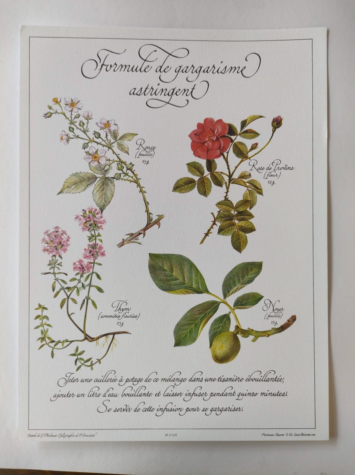Botanical engraving -Astringent gargle formula- Illustration of medicinal plants and herbs