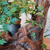 Brutalist lamp in olive wood 1970