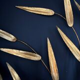 Large wall lamp "Leaves" in brass - 1970.