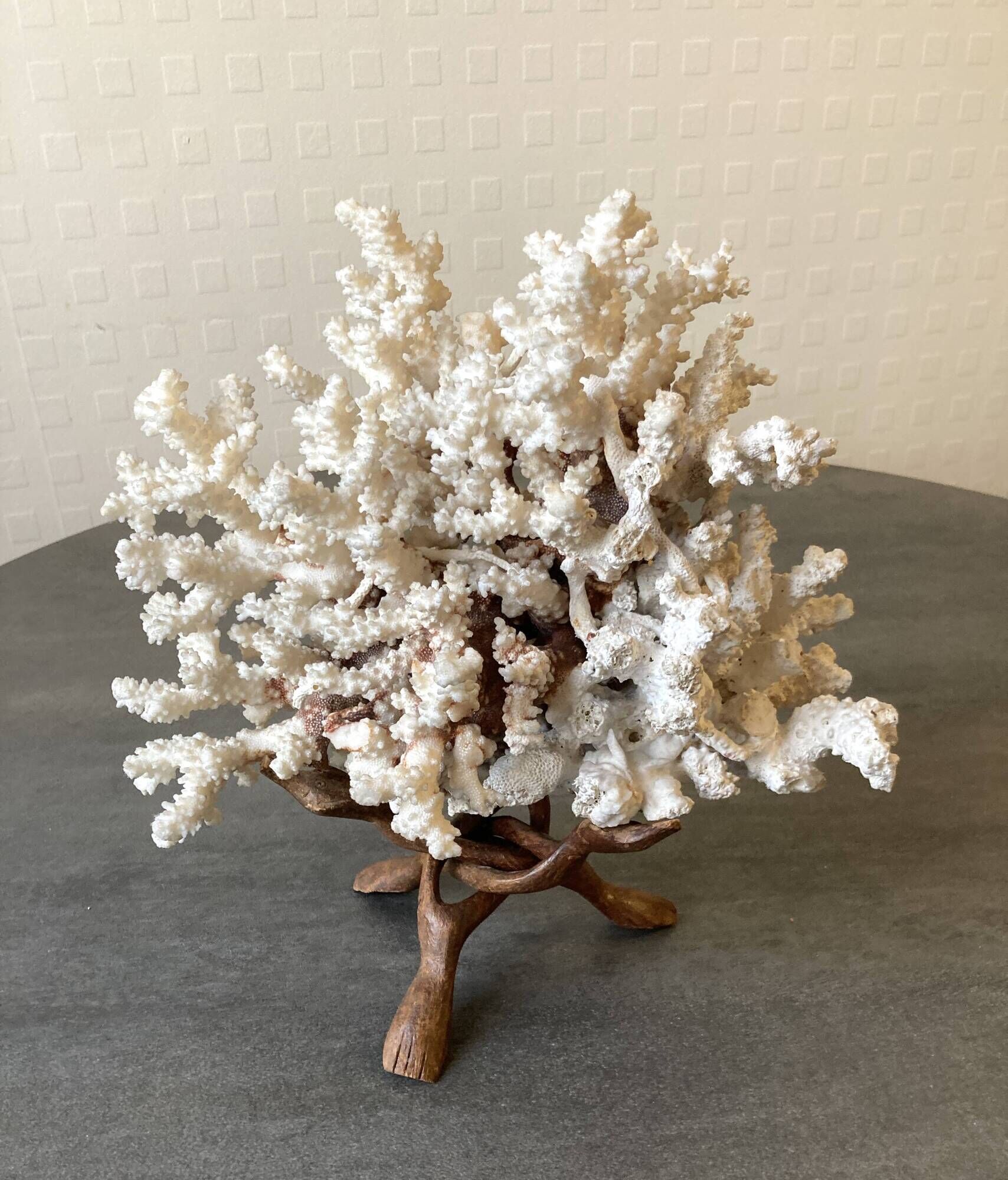 Corail blanc grand modèle 1960 sur bois sculpté