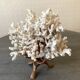 Corail blanc grand modèle 1960 sur bois sculpté